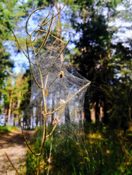 Similar image 21547849