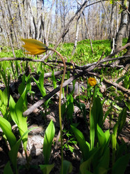 Similar image 21547850