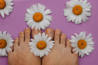 Similar image 21548539