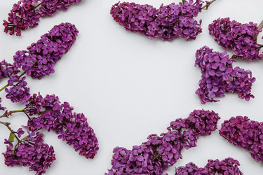 Similar image 21548545