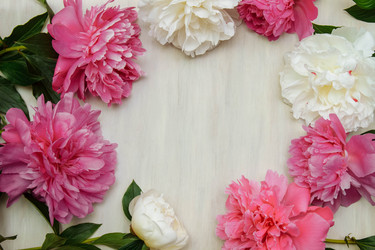 Similar image 21548546