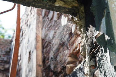 Similar image 21547862