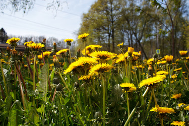 Similar image 21547875