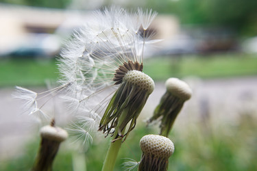 Similar image 21547876