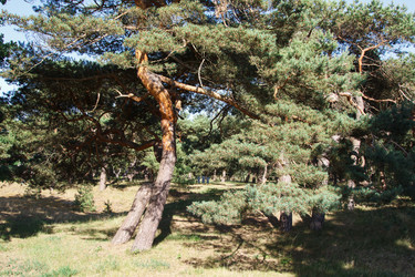 Similar image 21547885