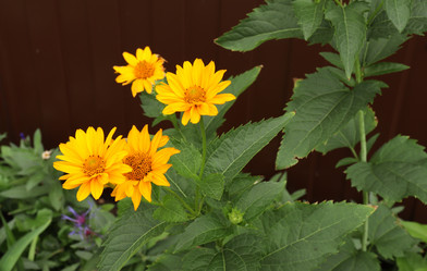 Similar image 21547890