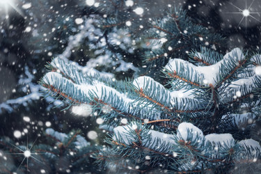 Similar image 21548228