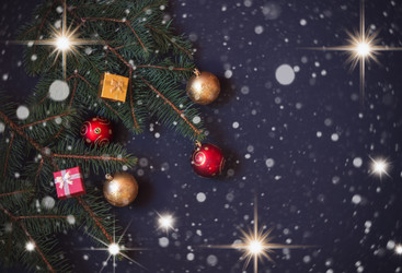 Similar image 21548598