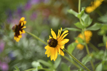 Similar image 21548039