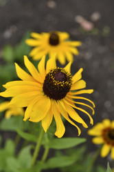 Similar image 21548041