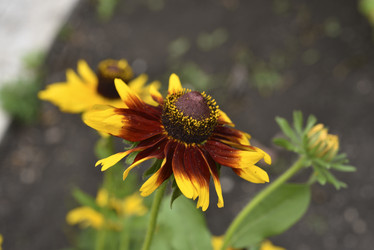 Similar image 21548042