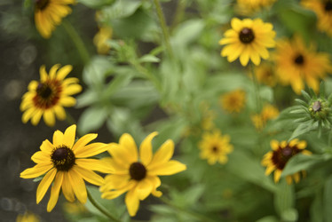 Similar image 21548043