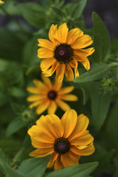 Similar image 21548047