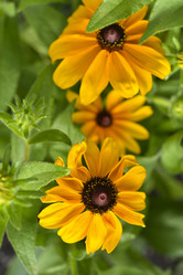 Similar image 21548050