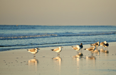 Similar image 21548314