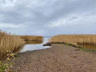 Similar image 21548284