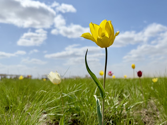 Similar image 21548286