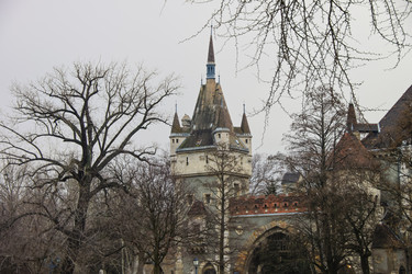 Similar image 21548321