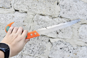 Similar image 21548323