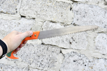 Similar image 21548324