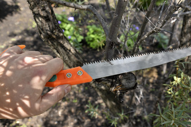 Similar image 21548327