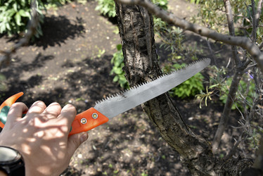 Similar image 21548328