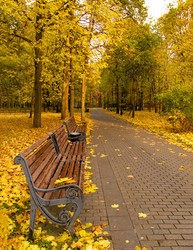 Similar image 21548340