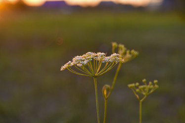 Similar image 21548349