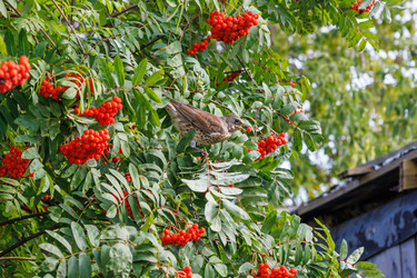 Similar image 21548384