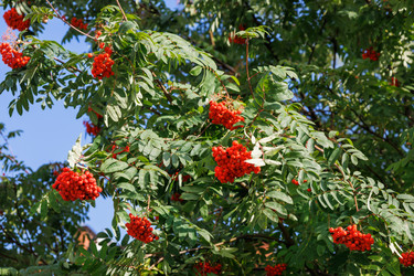 Similar image 21548386