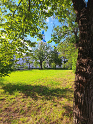 Similar image 21548667