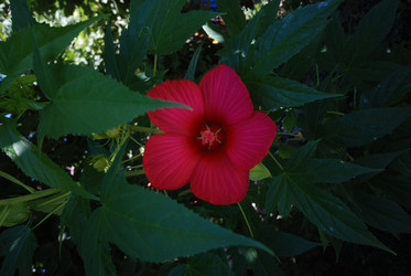 Similar image 21548481