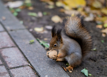 Similar image 21549263