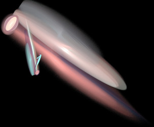 Similar image 21549444