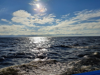 Similar image 21549294