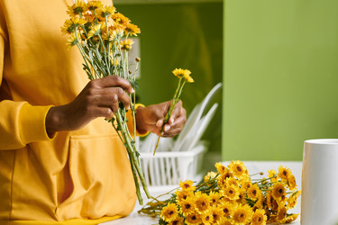 Similar image 21595229