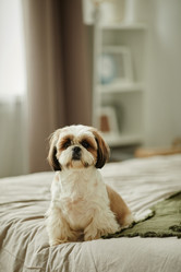 Similar image 21604025