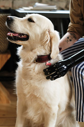 Similar image 21586193