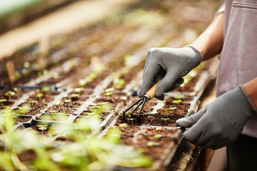 Similar image 21577566