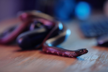 Similar image 21573433