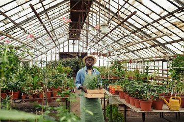 Similar image 21567637