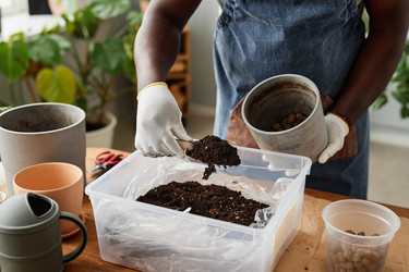 Similar image 21573142