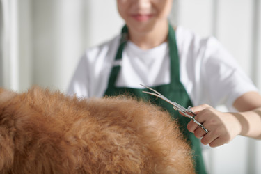 Similar image 21597272