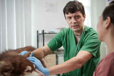 Similar image 21599431