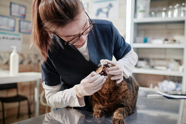 Similar image 21567412