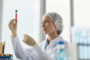 Similar image 21595237