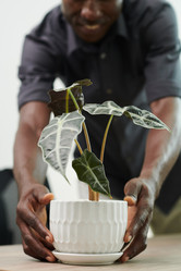 Similar image 21591299