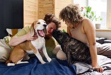 Similar image 21579974