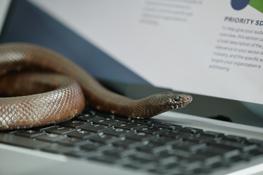 Similar image 21602586