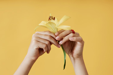 Similar image 21602141